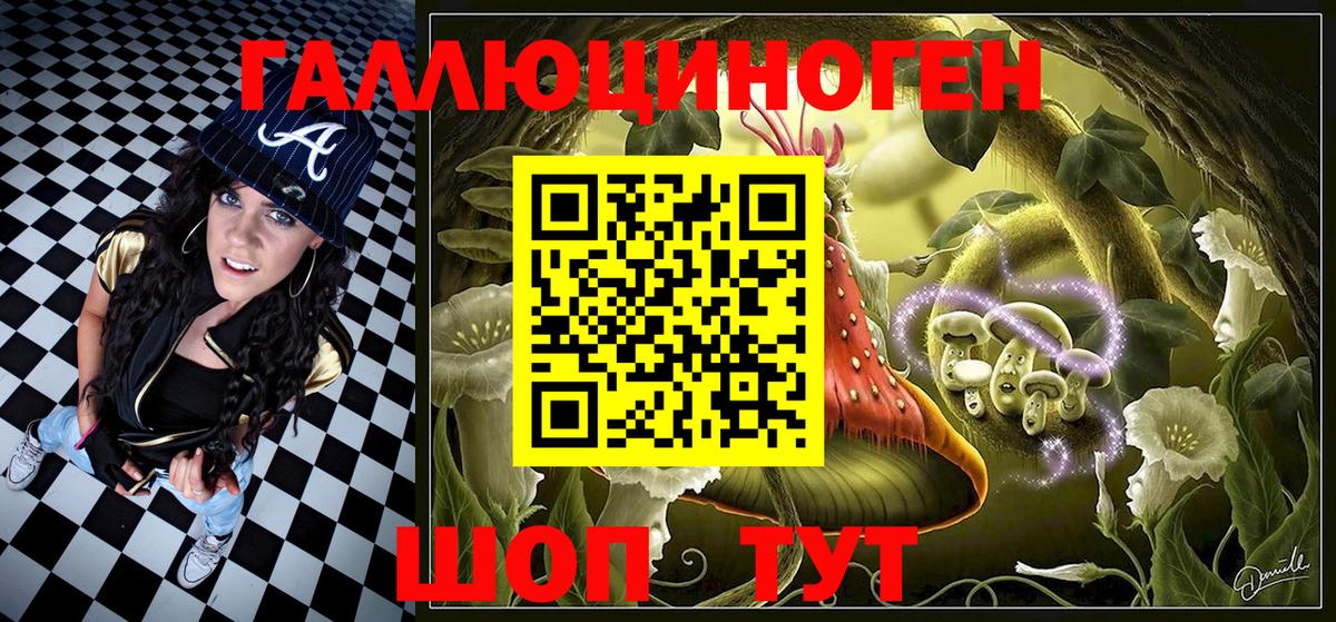 Топки  Галлюциногенные грибы прущие грибы  Вход с VPN 